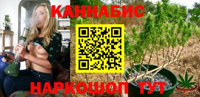 прущие крисы Малгобек