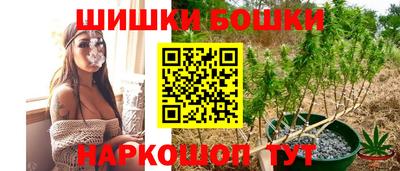 прущие крисы Малгобек