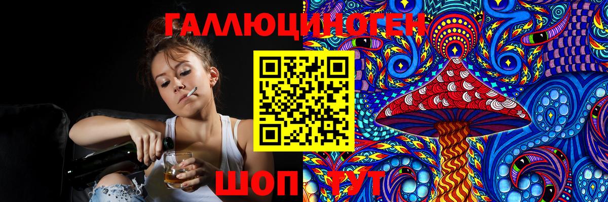 Псилоцибиновые грибы мицелий  где купить наркоту  Гусев  Вход с VPN 