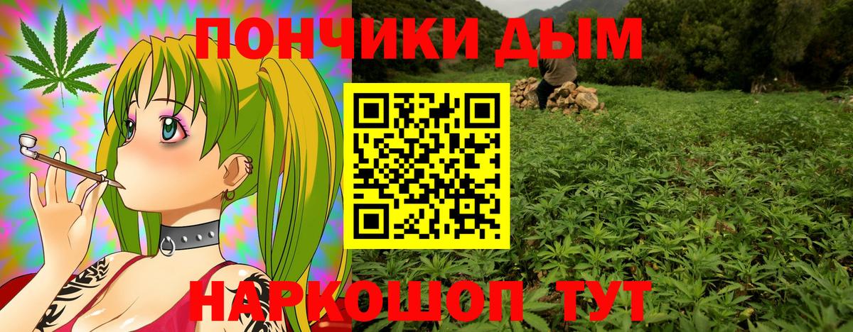 Шишки марихуана ГИДРОПОН  Шишки марихуана план  Гусев  Бошки Шишки сатива  Вход с VPN 